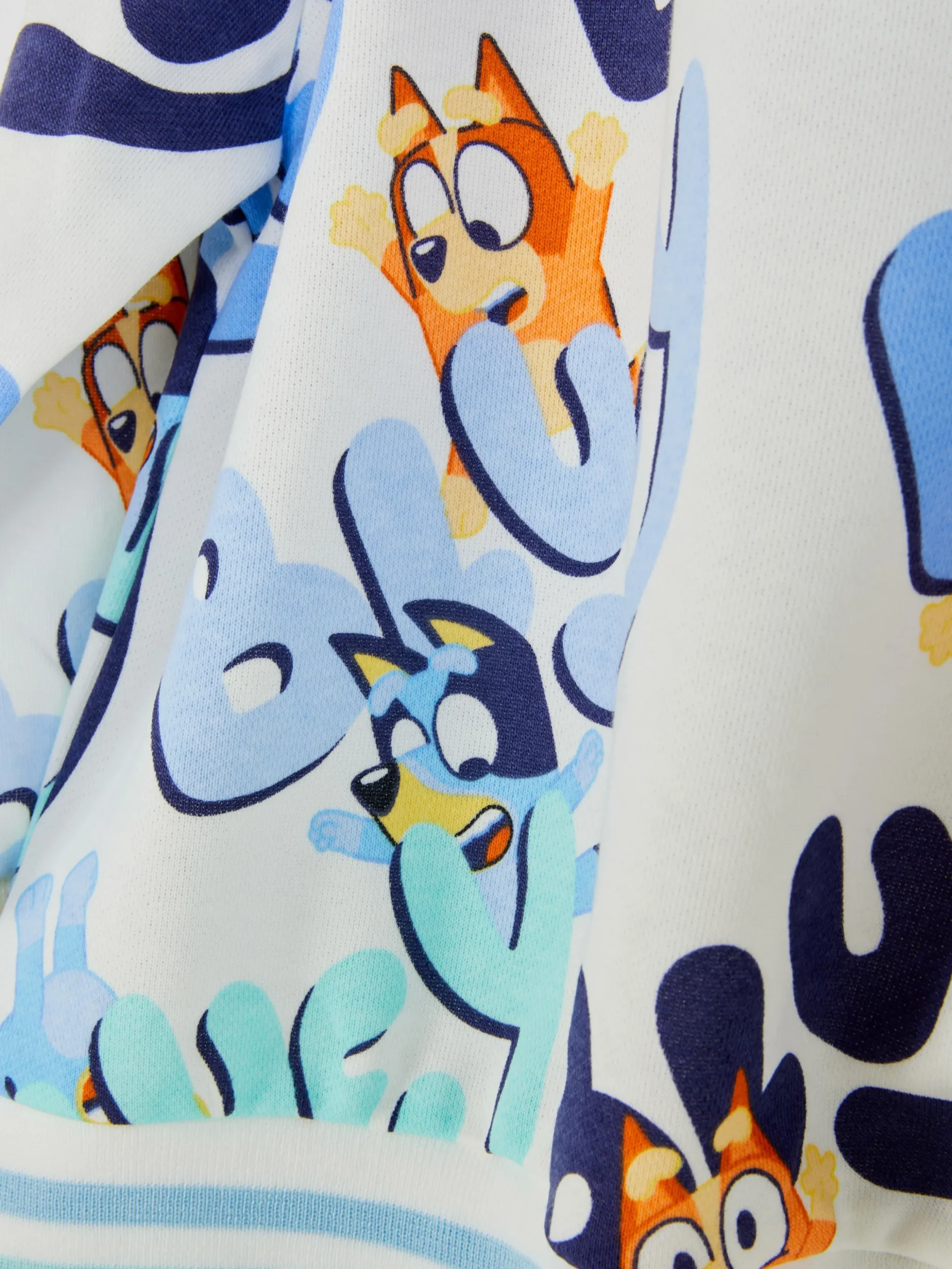 Bluey Graphic Sweatshirt