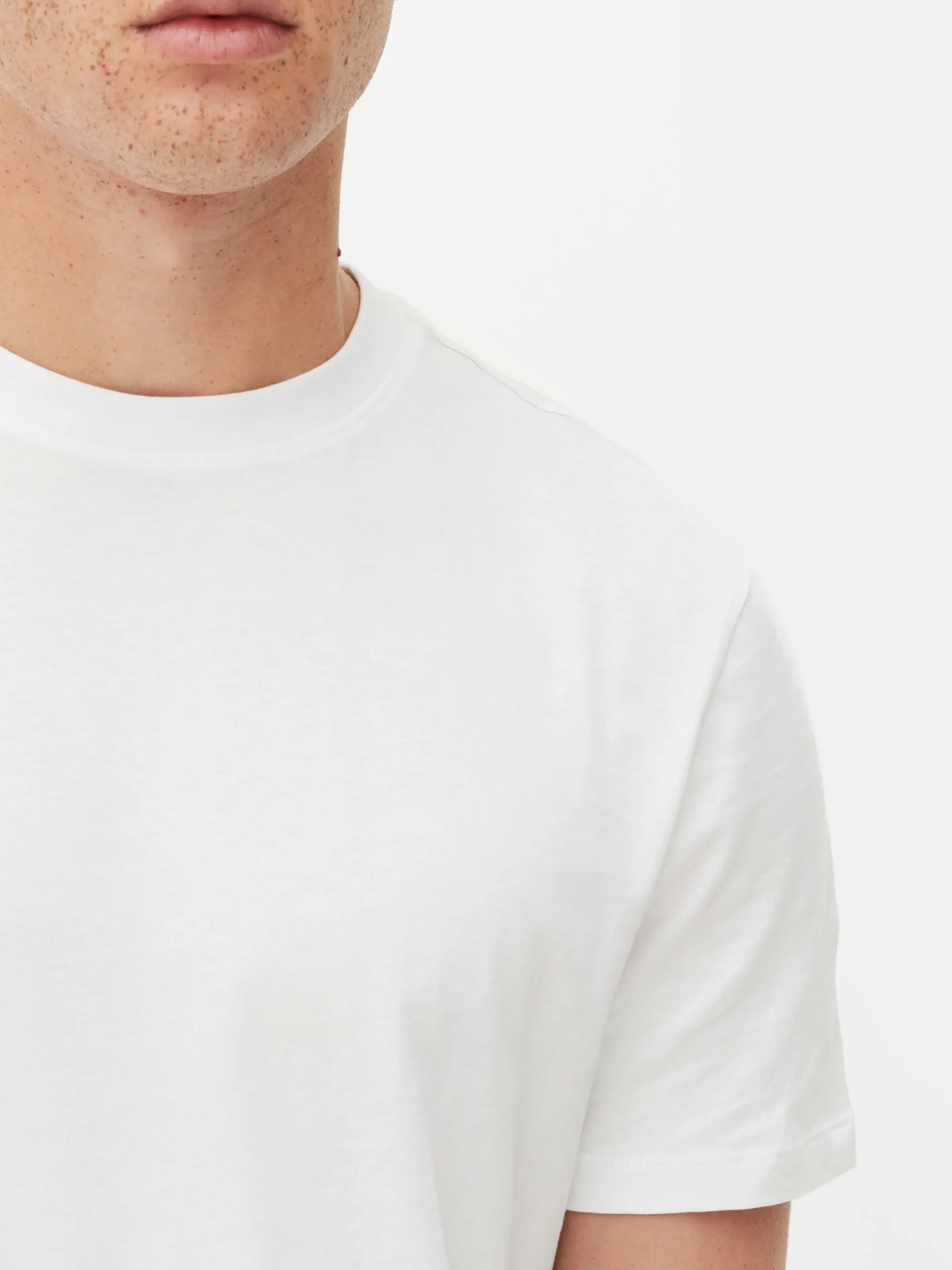 Crew Neck Regular Fit T-Shirt