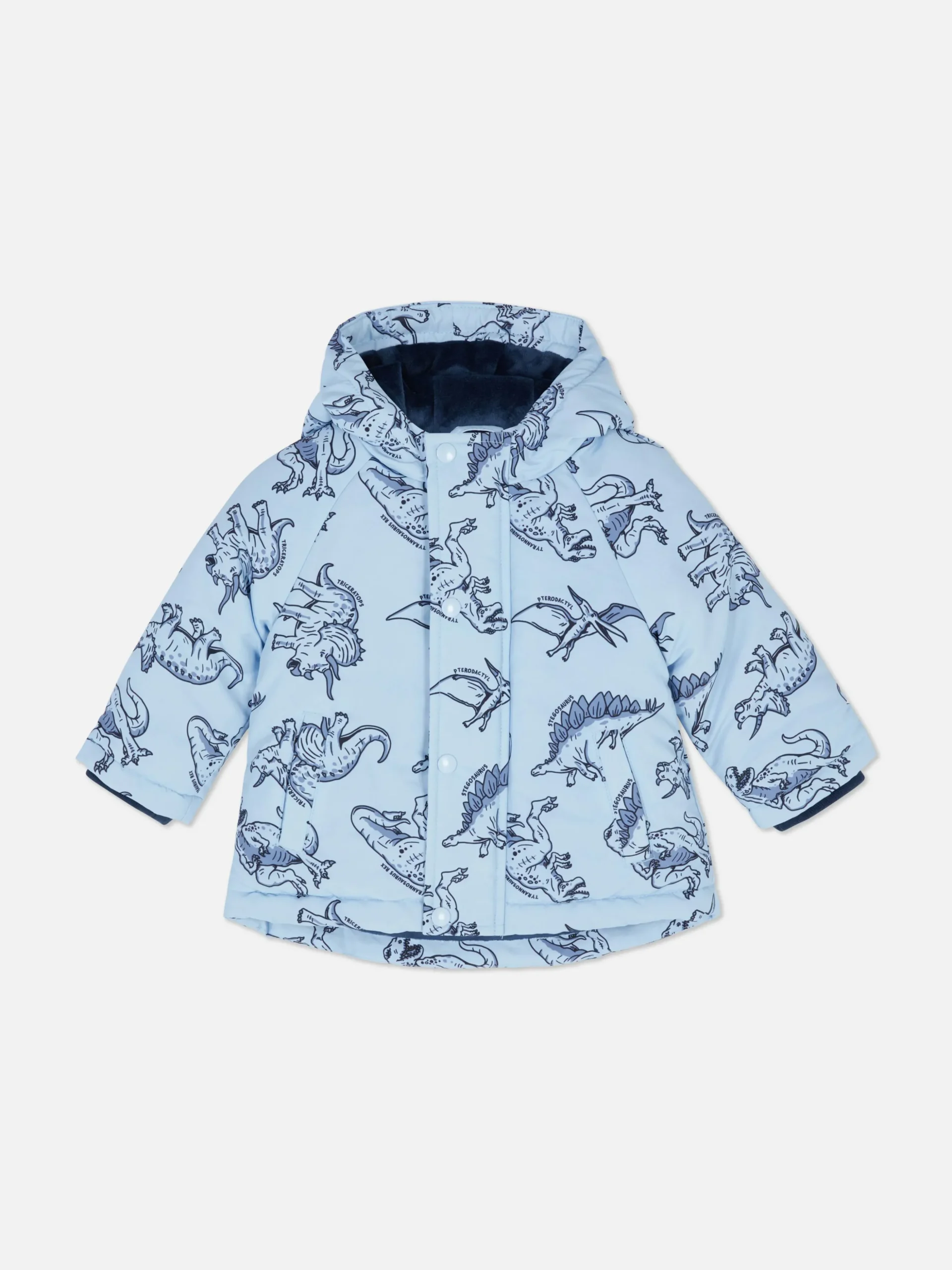Dinosaur Rain Jacket