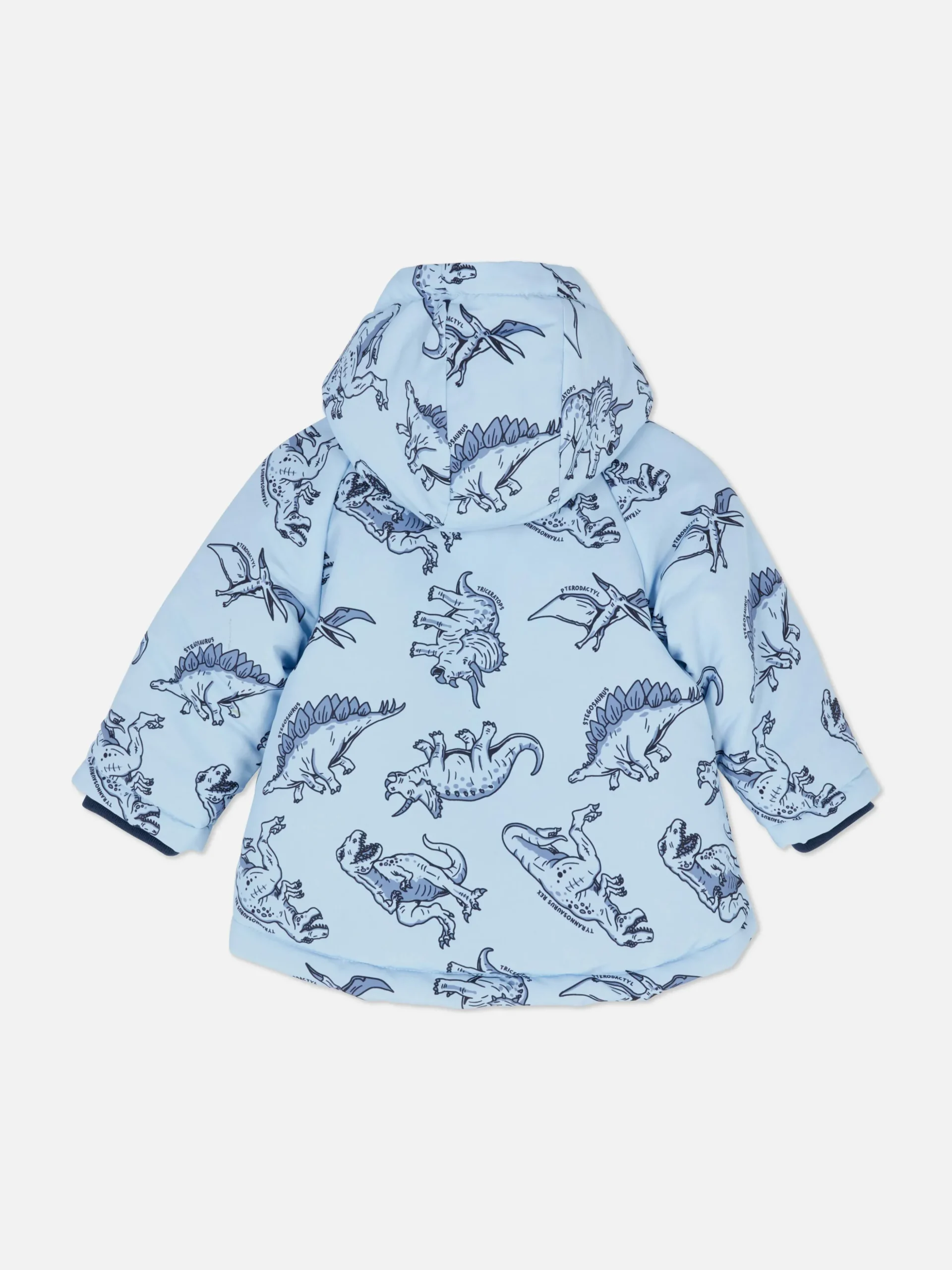 Dinosaur Rain Jacket