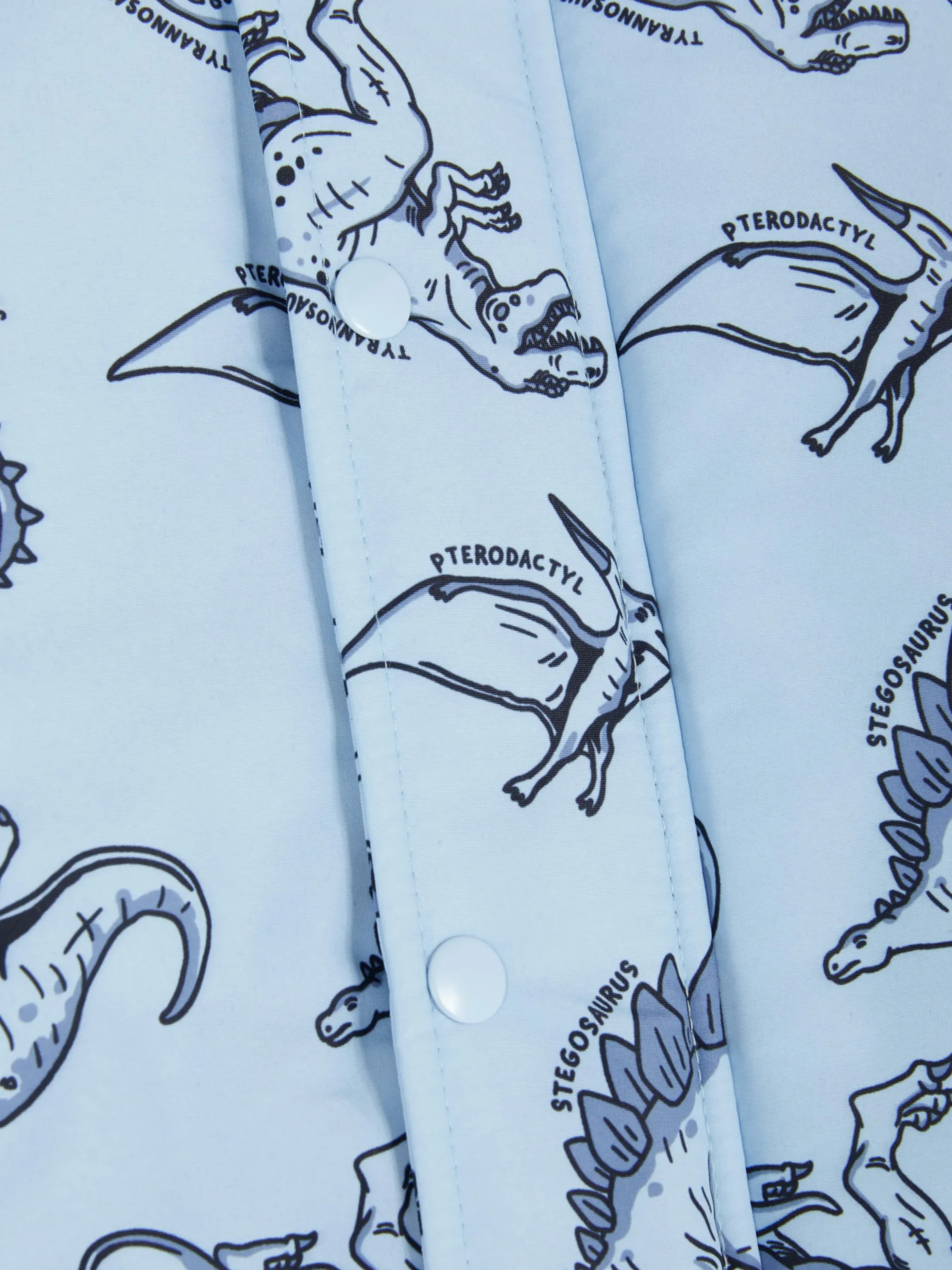 Dinosaur Rain Jacket