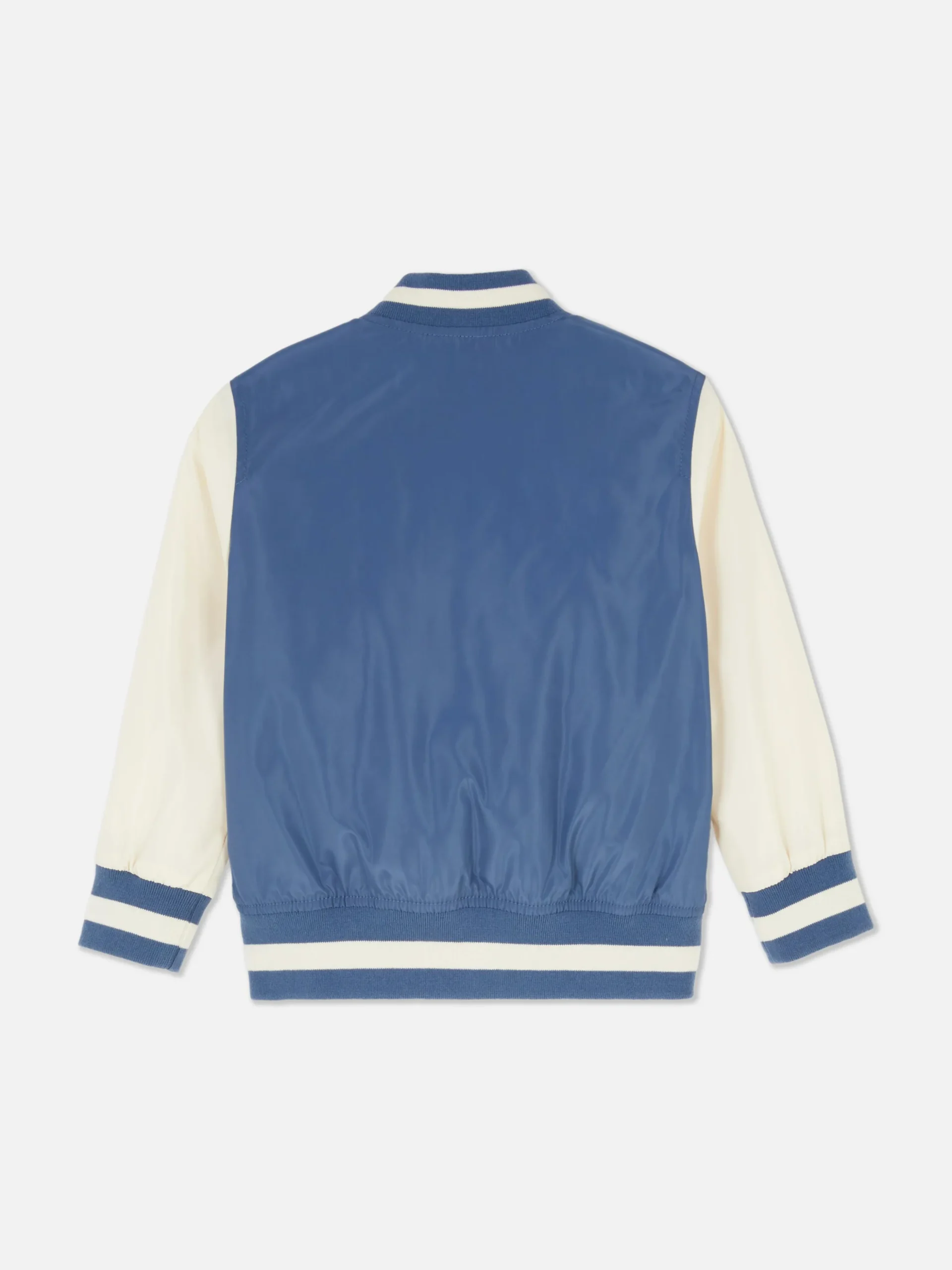 Dinosaur Varsity Jacket