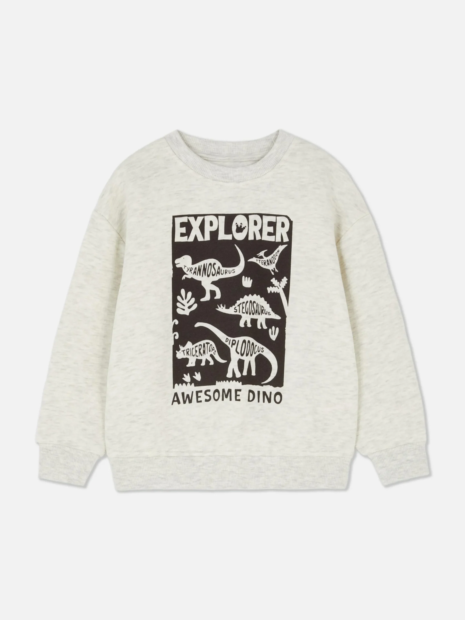 Graphic Sweatshirt