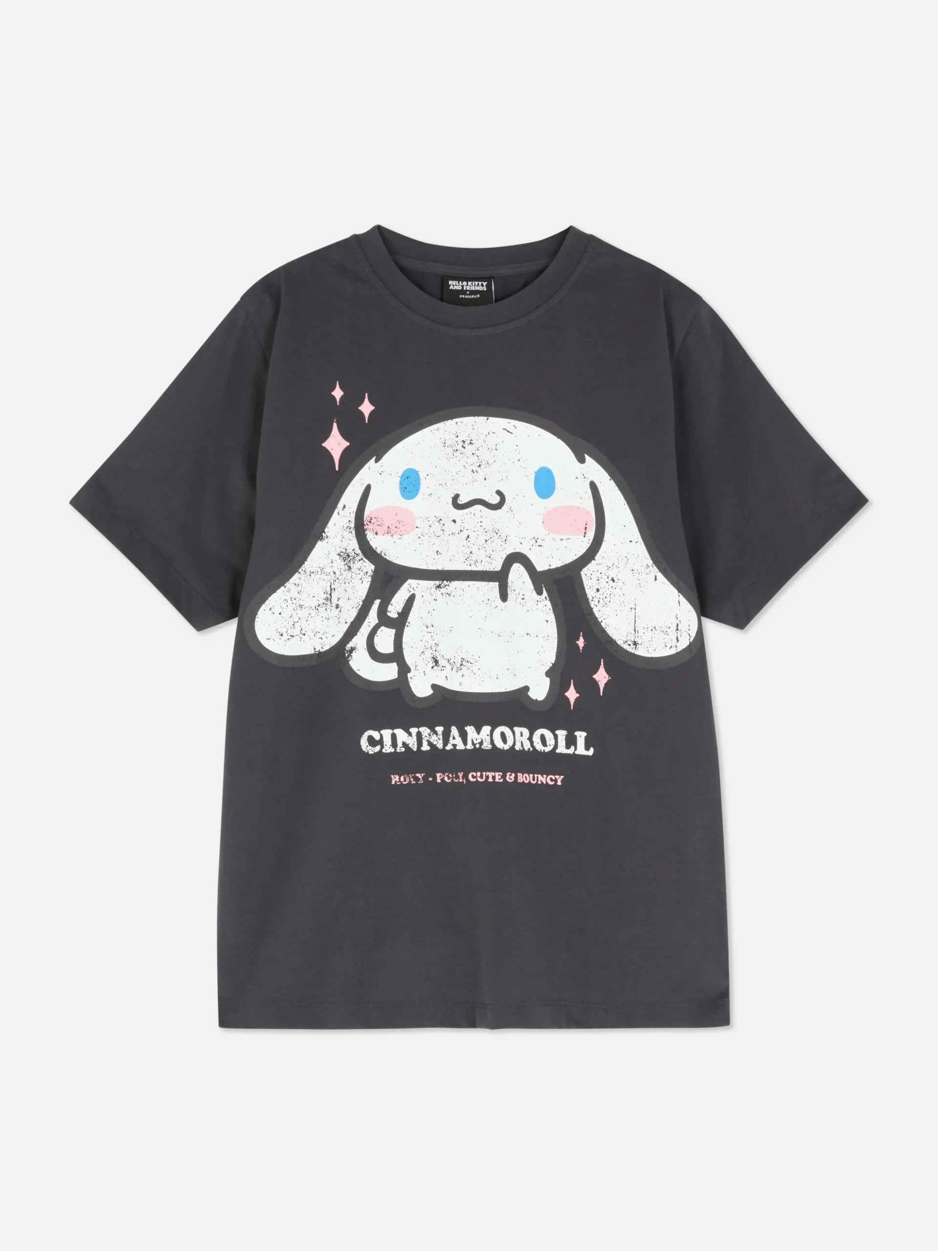 Hello Kitty Cinnamoroll Oversized T-Shirt