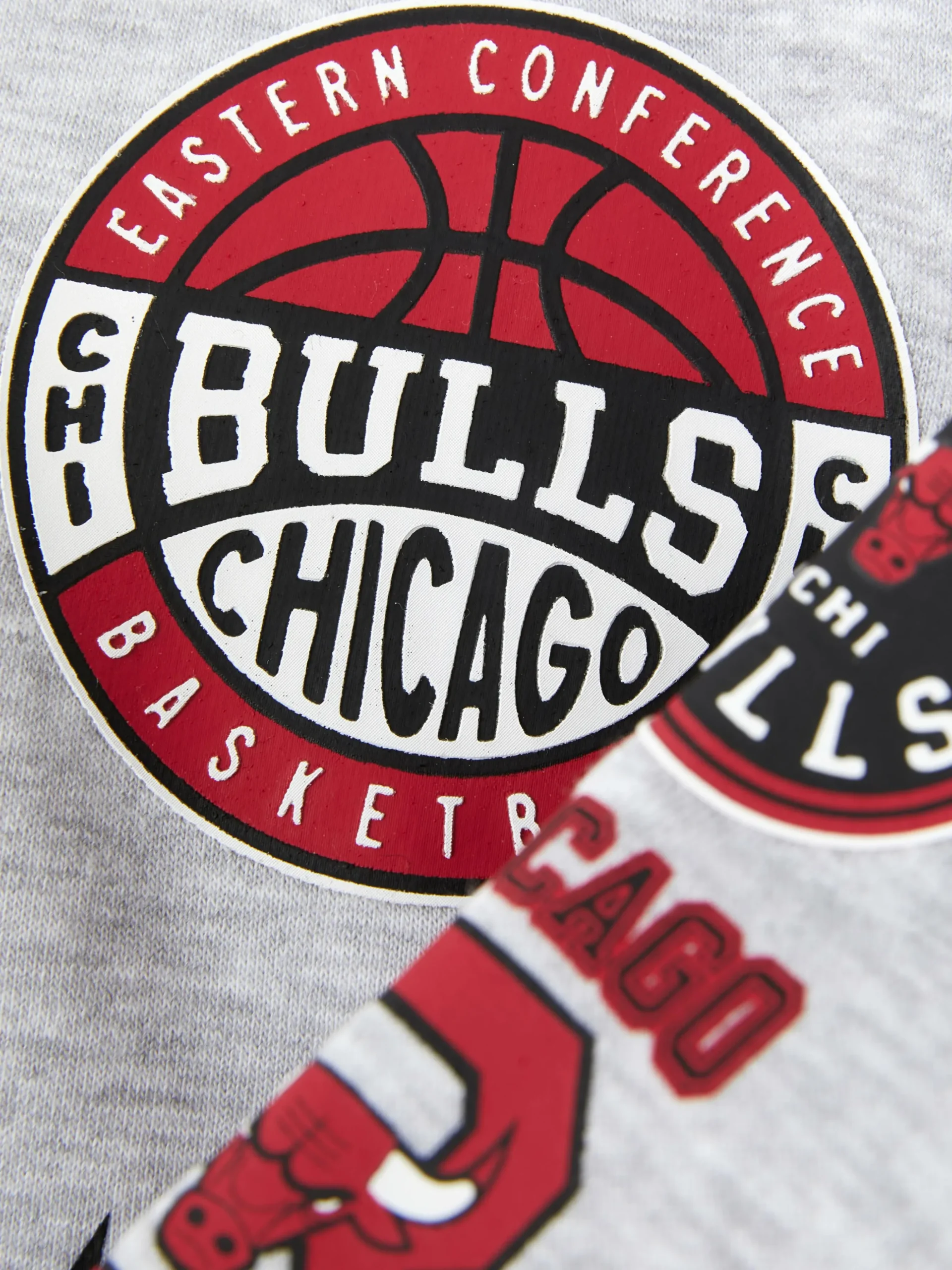 NBA Chicago Bulls Graphic Hoodie