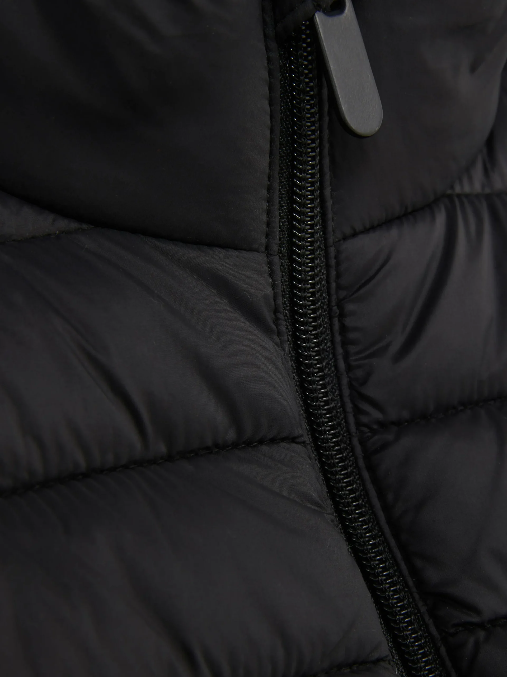 Padded Zip Vest