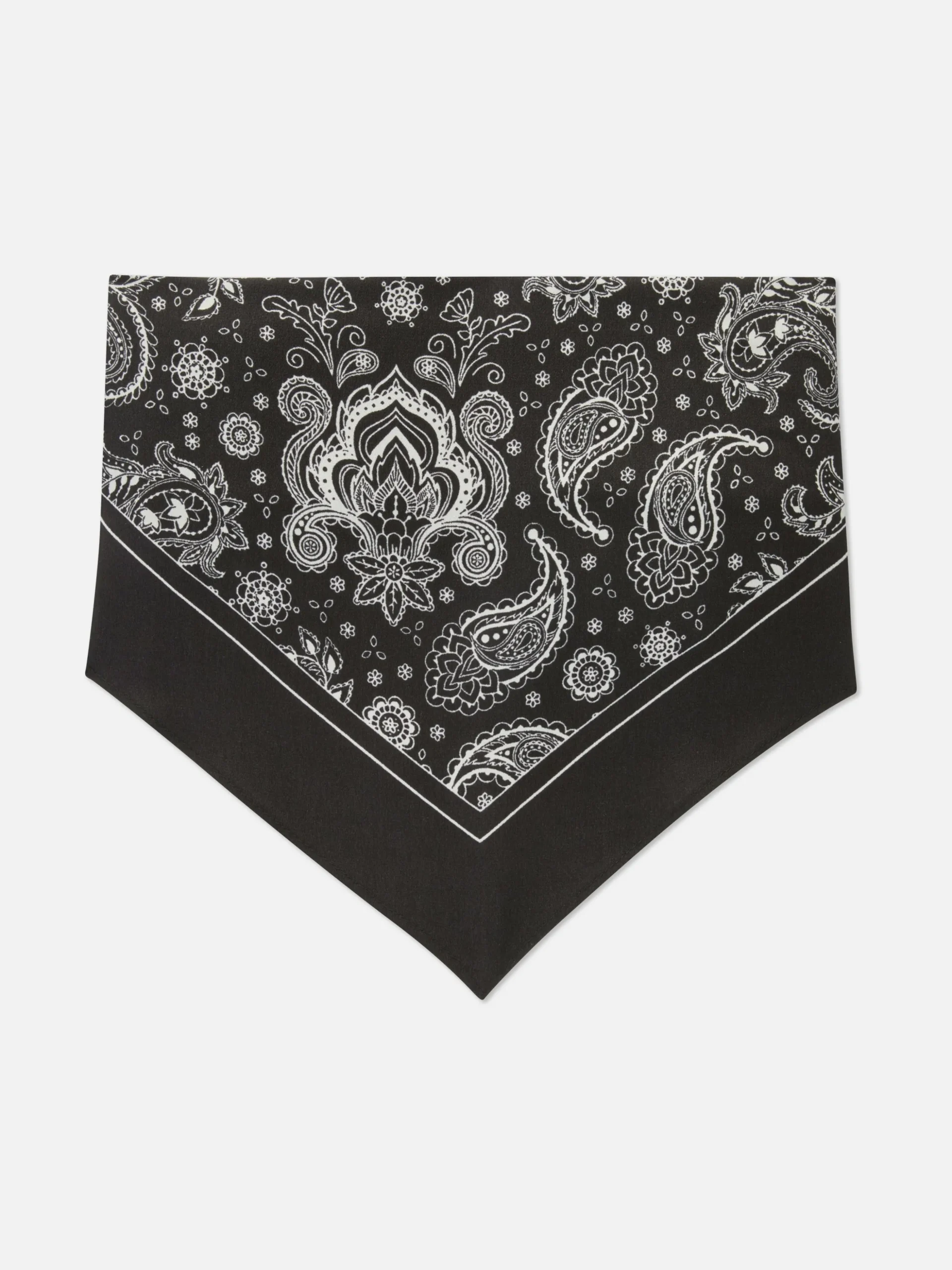 Paisley Print Scarf