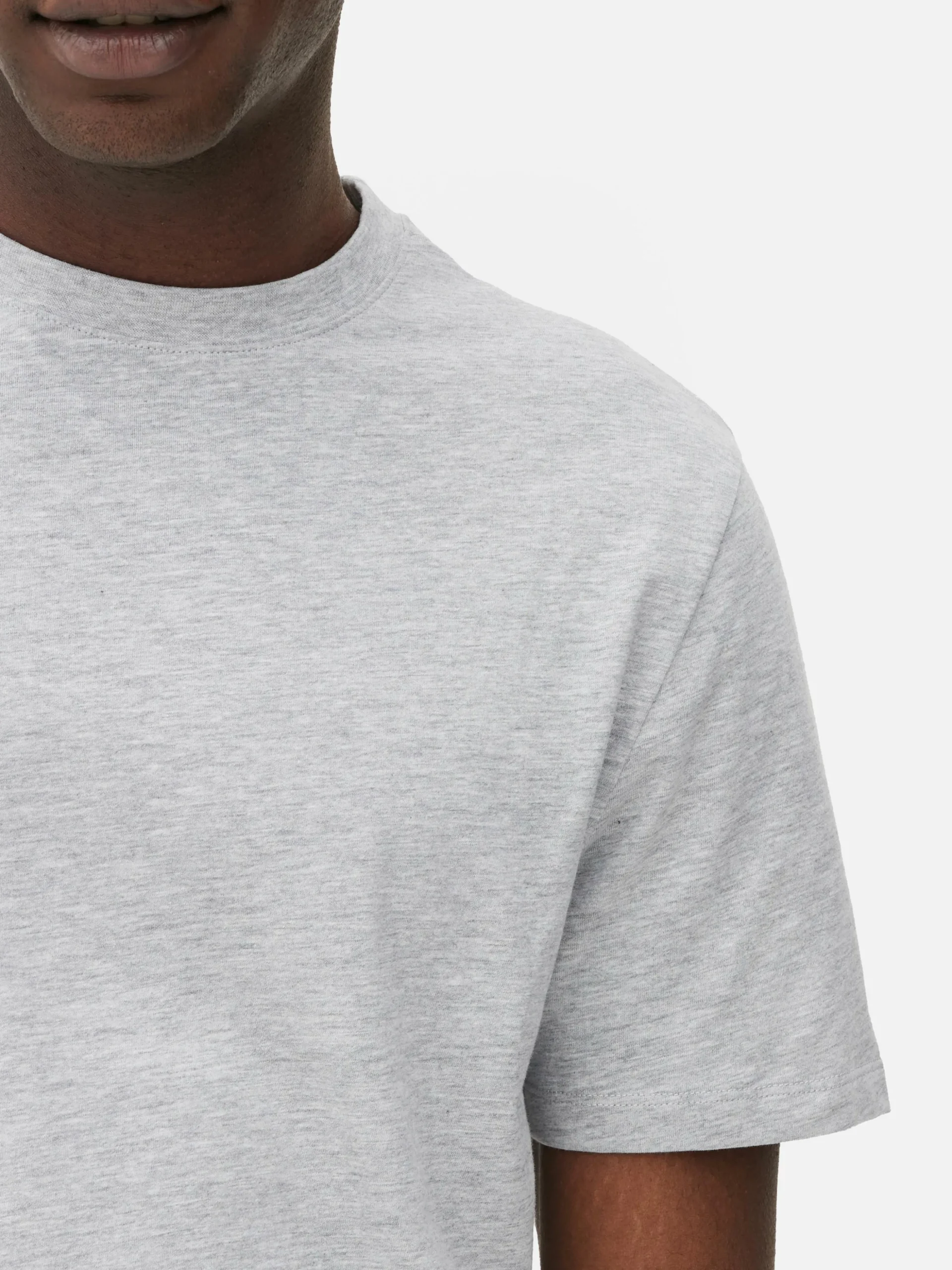 Regular Fit Heather T-Shirt