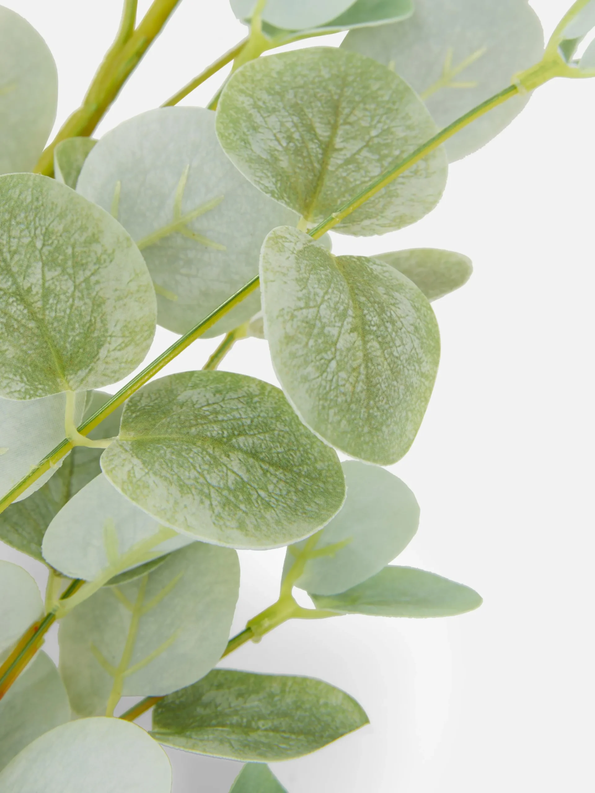 Single Stem Faux Eucalyptus